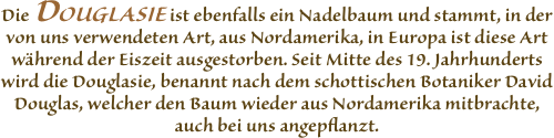 Die DOUGLASIE ist ebenfalls ein
