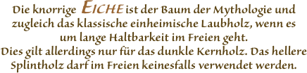 Die knorrige EICHE ist der
